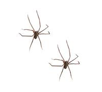 Realistic Spider Earrings Scary Spider Earrings Hand Cuff Costume Cosplay Party Supplies for Women Men Spider Interesting Spider Decorations Role Play Party Supply (2 PCS)