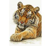 Realistic Tiger Portrait Art Print, Wildlife Wall Decor A4 Poster
