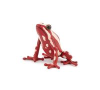 Realistic Tricolor Flail Frog Figurine, Wild Life Collection, Kids Ages 3+ | Educational play about tropical rainforest animals | hand-painted | a piece to collect | original gift for girls and boys