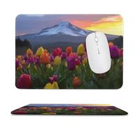 Realistic Watercolor Tulip Stitched Edge Mouse Pad,Rustic Beautiful Snowy Mountain Spring Garden Floral Tulips Soft Mousepad with Non-Slip for Office,Home 11.8"x9.8"