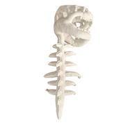 Realistic Wearable Dinosaur Skeleton Costume for Adults, 3D Spinosaurus Bone Plush Outfit with Spine Extension for Halloween & Themed Party Dino Cosplay Props (A, A)
