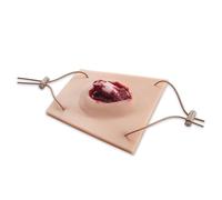 Realistic Wearable Open Fracture Task Trainer - Silicone Compound Fracture Wound Model for Debridement, Suture & Hemostasis Practice, TCCC & EMS Medical Simulation Kit for First Responders
