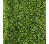 Realistic Wild Grass Mat Dark Green 28 X 15cm 5 - 6mm