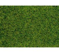 Realistic Wild Grass Meadow Green 28 X 14cm 5-6mm