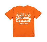 Reality Glitch This is What an Awesome Big Brother Looks Like Kids T-Shirt (Orange, 12-14 Years)