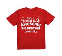 Reality Glitch This is What an Awesome Big Brother Looks Like Kids T-Shirt (Red, 9-11 Years)
