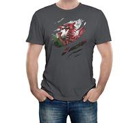 Reality Glitch Torn Wales Flag TShirt Welsh Rugby Gift (X-Large, Dark Grey)