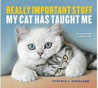 Workman Calendars Calendar – Really Important Stuff My Cat Has Taught Me