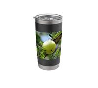 Really Like Amla Fruit Indian Gooseberry Stainless Steel Insulated Tumbler