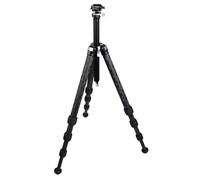 Really Right Stuff Ascend-14 4-Section Carbon Fiber Compact Travel Tripod with 22mm Ball Head