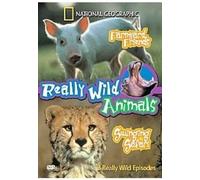Really Wild Animals: Farmyard Friends/Swinging Safari [DVD]