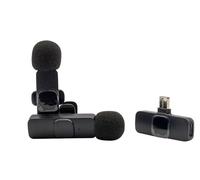 RealPower HS-1, Wireless Microphone, 2 Microphones, 1 Receiver