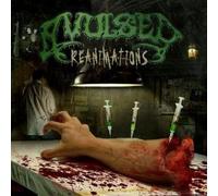 Reanimation