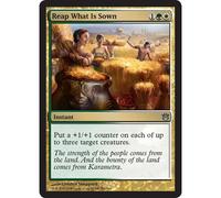 Reap What Is Sown | Born of the Gods