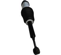 Rear Air Suspension Shock Compatible With Model S RWD 1067466-00-C | Airmatic Air Spring Shock Absorber; Fits Model S Rear RWD