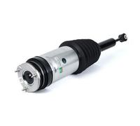 AS-3175 ARNOTT Air Suspension Strut Rear Top Yoke Bottom Eye Fits Tesla Model X