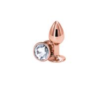 Rear Assets - Rose Gold - Small - Clear