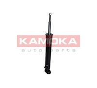 SHOCK ABSORBER 2000660 FOR BMW X5E70 M57D30 N57D30A/B N55B30A N52B30A/BF 3.0L