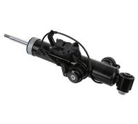 REAR AXLE LEFT SHOCK ABSORBER 319 043