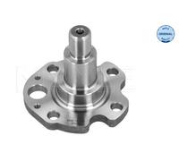 REAR AXLE RIGHT 1005010029 STUB AXLE, AXLE BEAM MEYLE