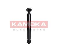 REAR AXLE SHOCK ABSORBER 2000045