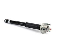 Arnott SK-3386 Shock absorber