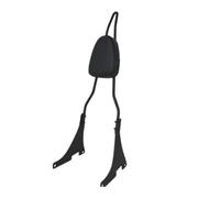 Rear Backrest Fit For Harley Sportster XL 883 1200 Moto Black Detachable Rear Passenger Backrest Sissy Bar With Cushion Pad Motorcycle Sissy Bar