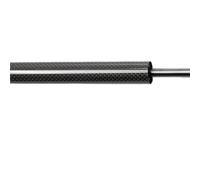Rear Boot Gas Lift Struts For Lutecia 5th Gen 2019-2025 Hatchback Automatic Opening Gas Lift Supports With Springs Boot Struts Auto Pop-Up Trunk(Black Carbon Fiber)