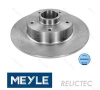 Rear Brake Disc for Renault:MEGANE III 3,SCENIC 3,CC,GRAND 3 432000010R