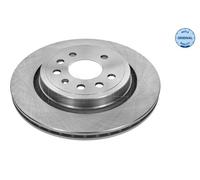 Rear Brake Disc Pair Fits Cadillac BLS Wagon Fiat Croma Opel MEYLE 615 523 6027