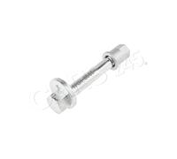 WHEEL CAMBER ADJUSTMENT BOLT Rear Axle ZWT-CH-056S NTY for JEEP DODGE CHRYSLER