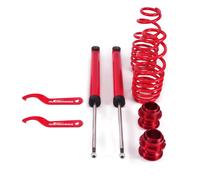Coilovers Rear Suspension Kit for VW Golf Mk4 1j1 New Beetle 9C1, 1C1