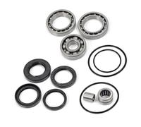 Rear Differential Bearings & Seals Kit 1988-2000 Fit For FourTrax 300 TRX300 2x4 TRX300FW 300FW 4x4