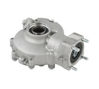 Rear Differential Compatible With TRX300 2X4 1996-2000