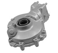 Rear Differential Replacement 41300-HM5-A10 41300-HC4-000 Compatible With TRX300 300 2X4 1996-2000