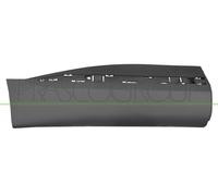 Prasco Rear Door Moulding for Renault Captur (2020-) With Moulding Holes Right Hand