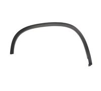 Rear Fender Trim Right Fits: VW TIGUAN 09.07-