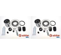 AUTOFREN SEINSA D41695K Repair Kit, brake caliper