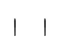 REAR LEFT AND RIGHT SHOCK ABSORBER 2000928