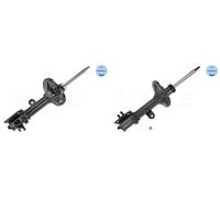 REAR LEFT AND RIGHT SHOCK ABSORBER 333420