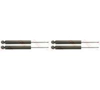 REAR LEFT AND RIGHT SHOCK ABSORBER JGE1004T