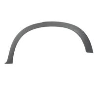 Rear Left Fender Trim Fits BMW X5 E70 02.07-06.13