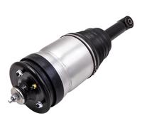Rear Left / Right Air Suspension Strut For Range Rover Sport RPD501030