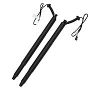 REAR PAIR SPINDLE DRIVE/GAS STRUT SPRING FOR AUTO TAILGATE BOOT For BMW For X6 For F16 Liftgate Lift Support Strut(Right 51247318652)