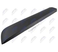 NTY Reinforced Door Trim/Protection Molding Rear Right EZC-RE-393
