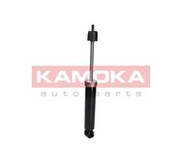 REAR AXLE SHOCK ABSORBER 2000820