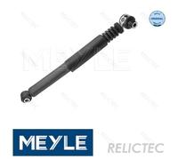 Rear Shock Absorber Strut for Renault:MEGANE I 1 7700415822 7700432049