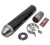 Rear silencer / ESD Giannelli with ABE for Aprilia RS / Tuono 125 - Carbon