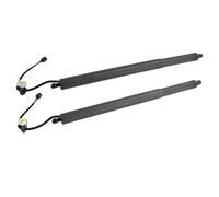 Rear Tailgate Boot Gas Struts For Hyundai For Palisade 2020 2021 2022 81831-S8100/ 81841S8100 Rear Left&Right Power Liftgates Lift Support(Pair)