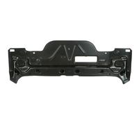 Rear Wall Fits: FIAT PUNTO I 09.93-06.00